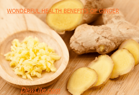 HEALTH BENEFITS OF GINGER