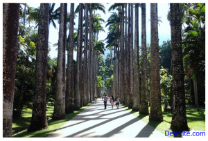 Rio de Janeiro's Best Tourist Sites: Discover Rio de Janeiro