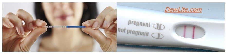 pregnancy test