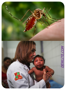 zika-virus-in-malaysia