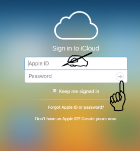 apple email login