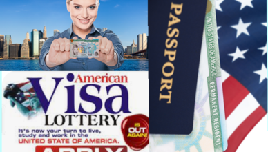 American Visa Lottery Sponsorship Program